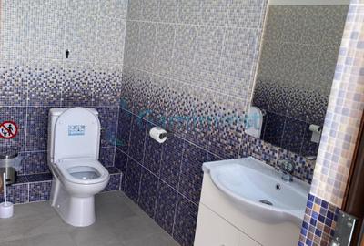 Pensiune cu 8 camere de vanzare in Cihei, Sânmartin , Bihor - 13