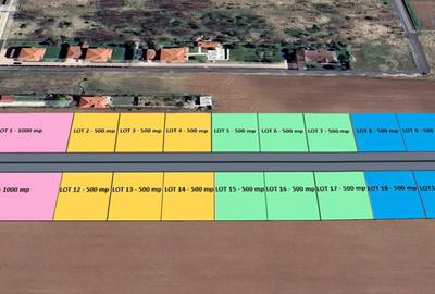 The Forest Collection - 500 mp | Padurea Snagov - Ciofliceni - COMISION 0% - 1