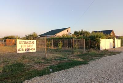 Terenuri intravilane Magurele Dumitrana - 1