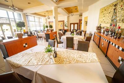Timisoara, OPORTUNITATE INVESTITIE, hotel, clinica sau azil, 41 camere - 8