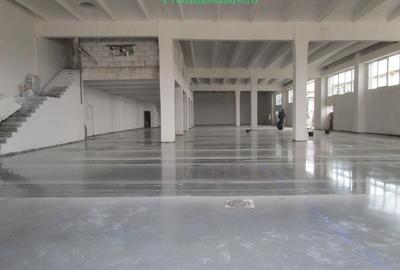 Spațiu industrial, de 1,050 mp, în Gai