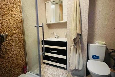 Apartament 2 Camere ,Metrou Piata Victoriei - 9