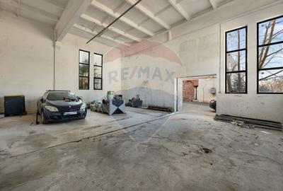 Spațiu comercial OPEN SPACE - zona Aradul Nou - 1