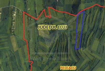 Teren investiție Sopor, preț imbatabil - 5