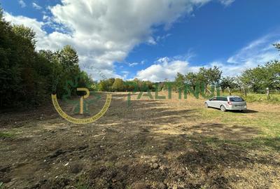 Teren intravilan de vanzare 960 mp Cisnadioara, Sibiu - 9