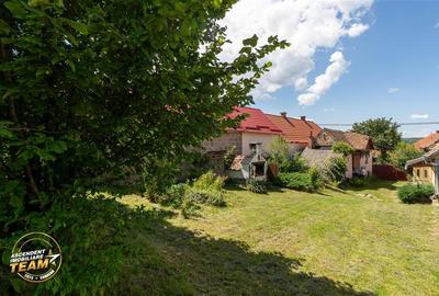 FILM! Domeniu peste 5.000mp+ 2case traditionale, Bixad, Covasna - 25