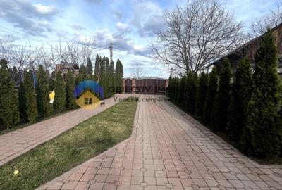 Proprietate deosebita Dva.Rosie - Neamt - 7