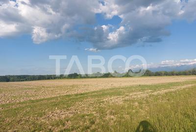 Teren extravilan 16500 mp front 47 m acces auto zona aerodrom Cisnadie - 3