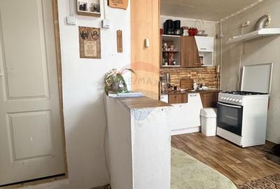 Apartament 3 camere, curte de 140 mp, Bariera Valcii, comision zero - 10