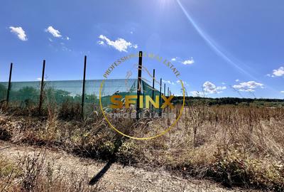 Corbeanca 3000 mp | deschidere 22 m la drum asfaltat | padure | utilitati - 12