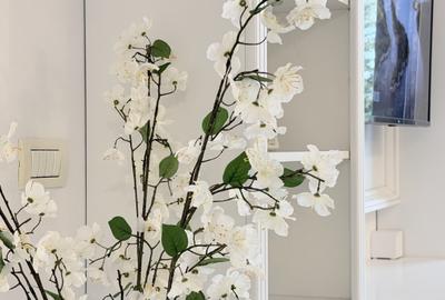 Superba, gata de mutare – Dumbrăvița, langa Pădurea Verde | Com 0% - 27