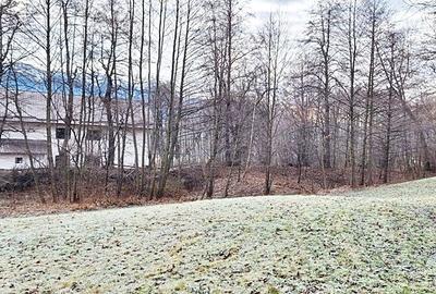 Bran -Predelut, teren intravilan de 1820mp, 29 euro/mp - 4