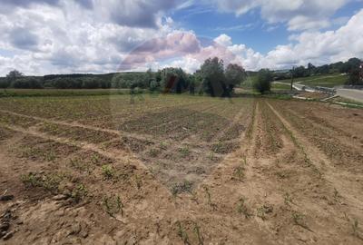 DE VÂNZARE TEREN INTRAVILAN SAU PARCELA – Șomcuta Mare (0% comision) - 5