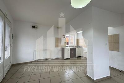 Spatiu comercial | Spatiu birouri | Curte | Terasa | Sebes - 2
