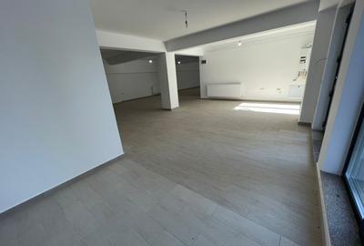 Spatiu Comercial Nou- 145 Mp - Pepinierii - 3
