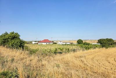 Ferma si casa de vanzare - teren intravilan, la 20min de Constanta! - 14