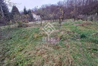 Teren intravilan 1300mp, Zona Valea Ghinzii - 1