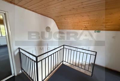 Casa individuala pentru BIROURI, 240mp, 6 camere,zona strazii S Albini - 14
