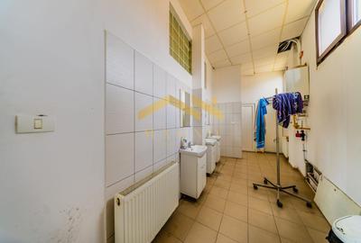 Bloc cu 12 Apartamente si Hala Industriala-Oferta Speciala/Sannicolau - 9