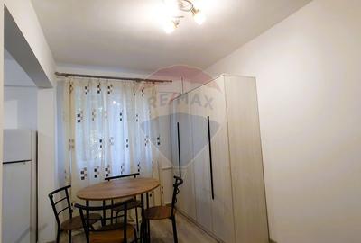 Garsoniera de inchiriat in zona centrala, etaj 2. Renovată de curând. - 4