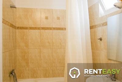 Apartament cu trei camere situat in zona Piata Unirii - 8