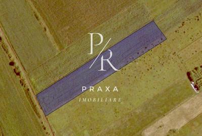 Teren extravilan, 4940 mp, zona Dealul Fanatelor! - 1