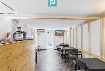 Casă + afacere activă | Venit 1100€/lună - 16