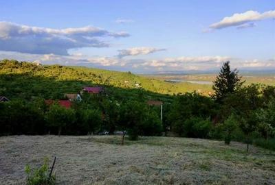 Teren Intravilan Podgoria - 3