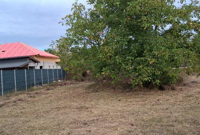 Teren intravilan 835 mp , D - 23 m , zona linistita - 1