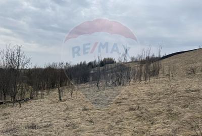 Teren intravilan 2307 mp în Salicea, zona premium, aproape de Cluj - 12