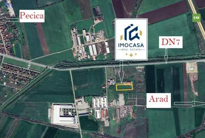 Pecica Jud. Arad Teren Extravilan zona in dezvoltare Vecinatate A1 - 1