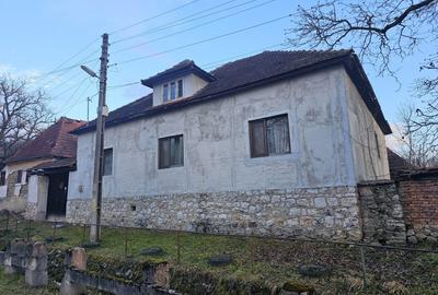 Casă cu 4 camere, suprafață 110 mp + teren 2.200 mp, Vărzarii de Jos - 2