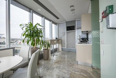 Herăstrău | Birouri premium lângă metrou - 1