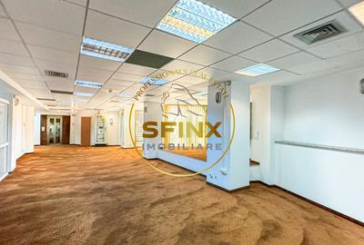 Cladire Birouri Piata Victoriei - Titulescu - 20