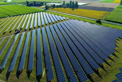 Teren agricol intravilan de 38000 mp, în Ghizdaru