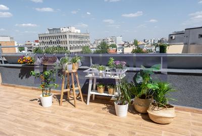 VANZARE PACHET APARTAMENT 4 CAMERE + 2 STUDIOURI 275MP ULTRACENTRAL UNIVERSITATE - 19