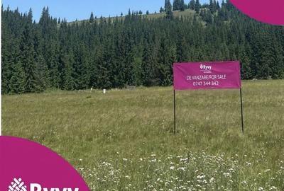 PARCELE DE VÂNZARE, pe malul râului BÂSCA, COMANDAU, COVASNA - 1