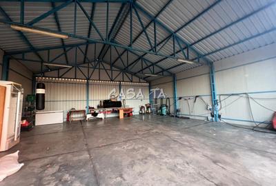 Inchiriere spatiu comercial si Hala, Targu-Jiu Str. Narciselor - 9