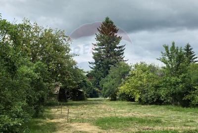 Domeniu rural, gospodarie/multifunctionala cu casa, livada, vie - 14