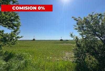 Teren agricol 12.500 mp | Deschidere directă DN61 | Dublu acces | Corbii Mari - 5
