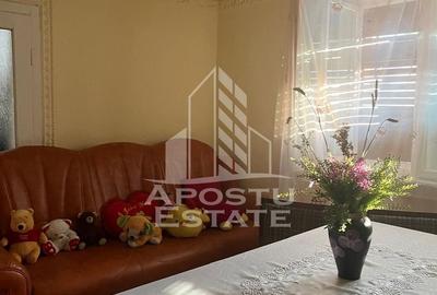 Casa individuala plus anexa, zona centrala in Faget - 21