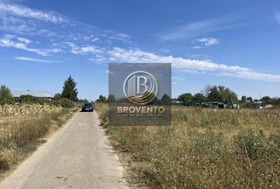 Teren Adunatii Copaceni-Strada Dealului - 4