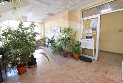 Cladire Birouri Stefan Cel Mare zona Ramada - 13