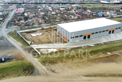 Spatiu Industrial-Mihai Viteazu/Zona Autostrazii A3-Constructie Noua - 9
