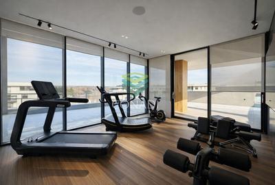 The american dream | zona Ambasadei Americii - 16