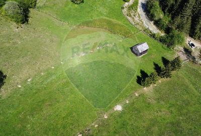 Teren 12,127mp Frasin / Drumul Forestier Valea Seacă - 8