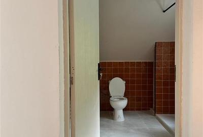 Casa P+M renovata 2025, 111 mp, 3.029 mp teren, Drajna de Sus - 15
