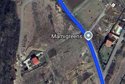 Vanzare 9 ari teren intravilan Tg. Mures Str. Zeno Vancea. - 4