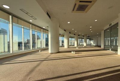 Birouri 290 mp Armand Călinescu | Open Space Compartimentabil | Terasă - 1