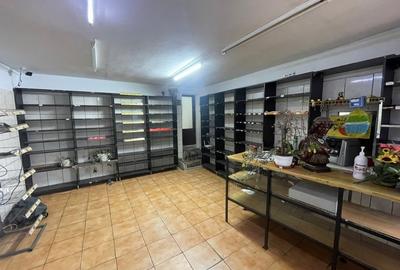 Casa de Vanzare cu teren spatios,zona Pantelimon-Delfinului,langa Mega Mall&Lac; - 11
